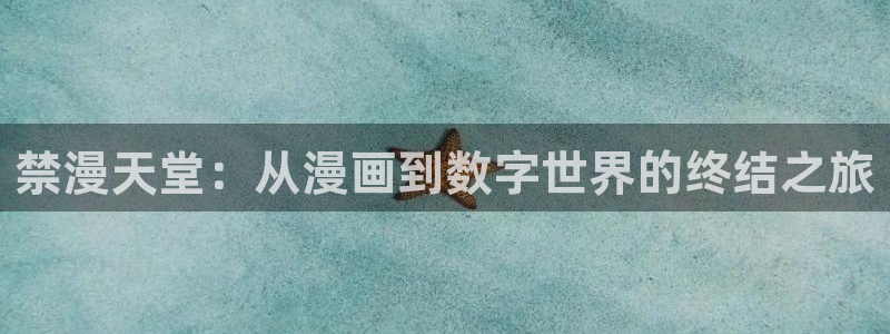 omofun网页版怎么没了：禁漫天堂：从漫画到数字世界的终结之旅