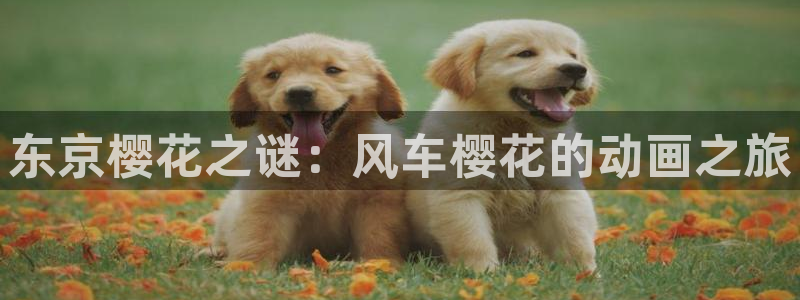 omofun漫画：东京樱花之谜：风车樱花的动画之旅
