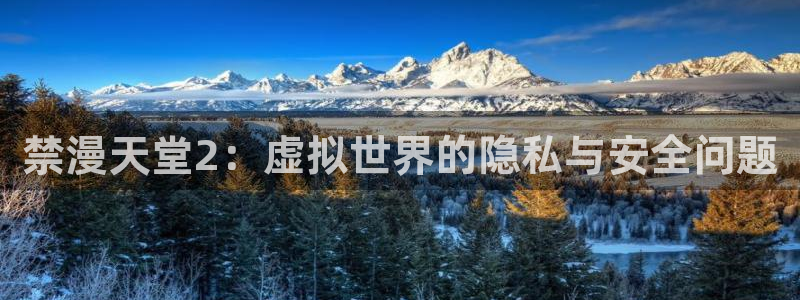动漫软件omofun：禁漫天堂2：虚拟世界的隐私与安全问题