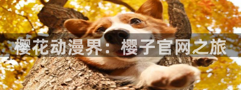 omofun动漫网官网：樱花动漫界：樱子官网之旅