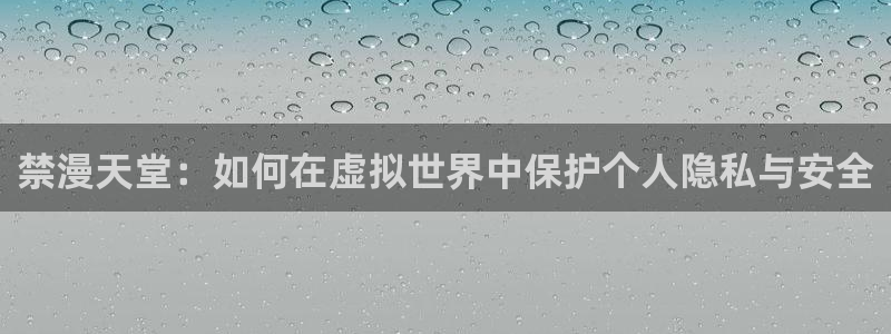 omofun下载动漫：禁漫天堂：如何在虚拟世界中保护个人隐私与安全