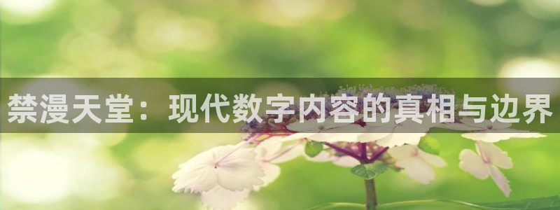 禁漫天堂最新版：禁漫天堂：现代数字内容的真相与边界