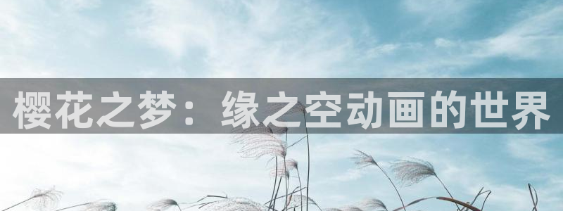 omofun动漫在线观看动漫最新版本更新：樱花之梦：缘之空动画的世界