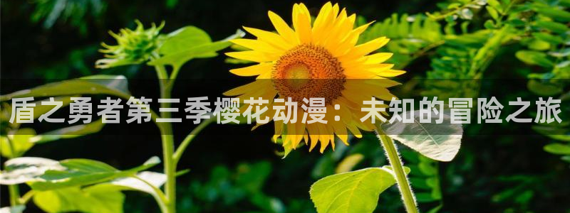 www.omofun：盾之勇者第三季樱花动漫：未知的冒险之旅