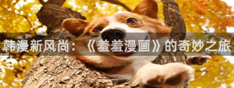omofun动漫在线观看看：韩漫新风尚：《羞羞漫画》的奇妙之旅