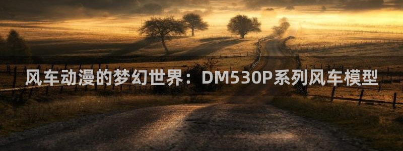 omofun动漫在线观看：风车动漫的梦幻世界：DM530P系列风车模型