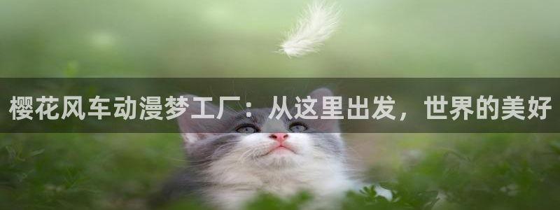 omofun下载官方正版网站：樱花风车动漫梦工厂：从这里出发，世界的美好