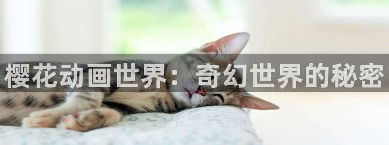 omofun动漫官方正版入口：樱花动画世界：奇幻世界的秘密