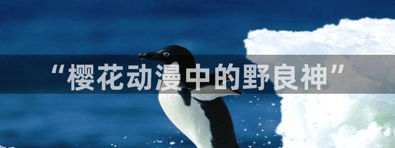 omofun动漫网站：“樱花动漫中的野良神”