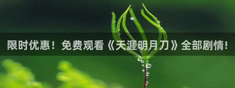 omofun下载官方正版网站：限时优惠！免费观看《天涯明月刀》全部剧情!