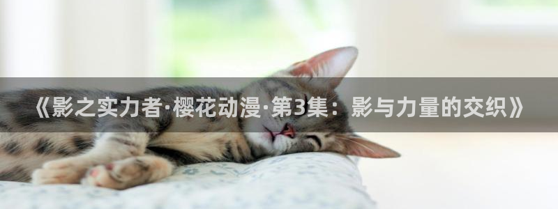 omofun网站：《影之实力者·樱花动漫·第3集：影与力量的交织》