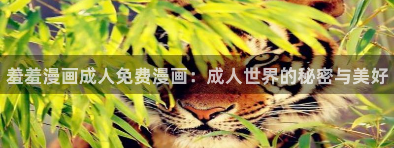 omofun官方版网页：羞羞漫画成人免费漫画：成人世界的秘密与美好