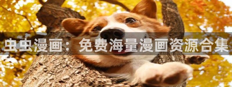 禁漫天堂网站入口：虫虫漫画：免费海量漫画资源合集